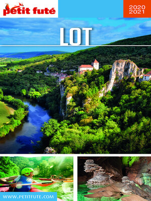 cover image of LOT 2020 Petit Futé